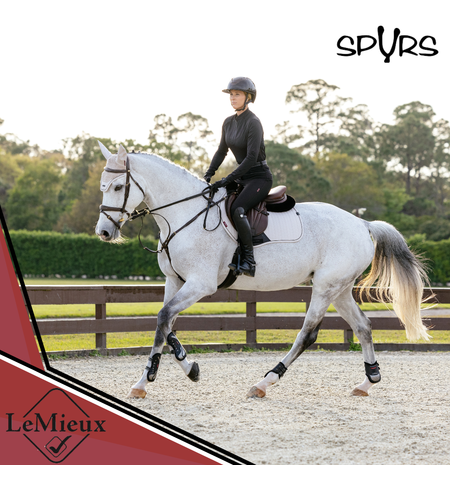 LE MIEUX ESSENCE SADDLE PAD