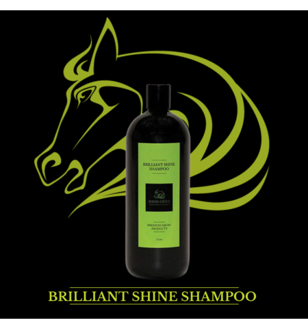 JUDGES CHOICE BRILLIANT SHINE SHAMPOO