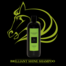 JUDGES CHOICE BRILLIANT SHINE SHAMPOO