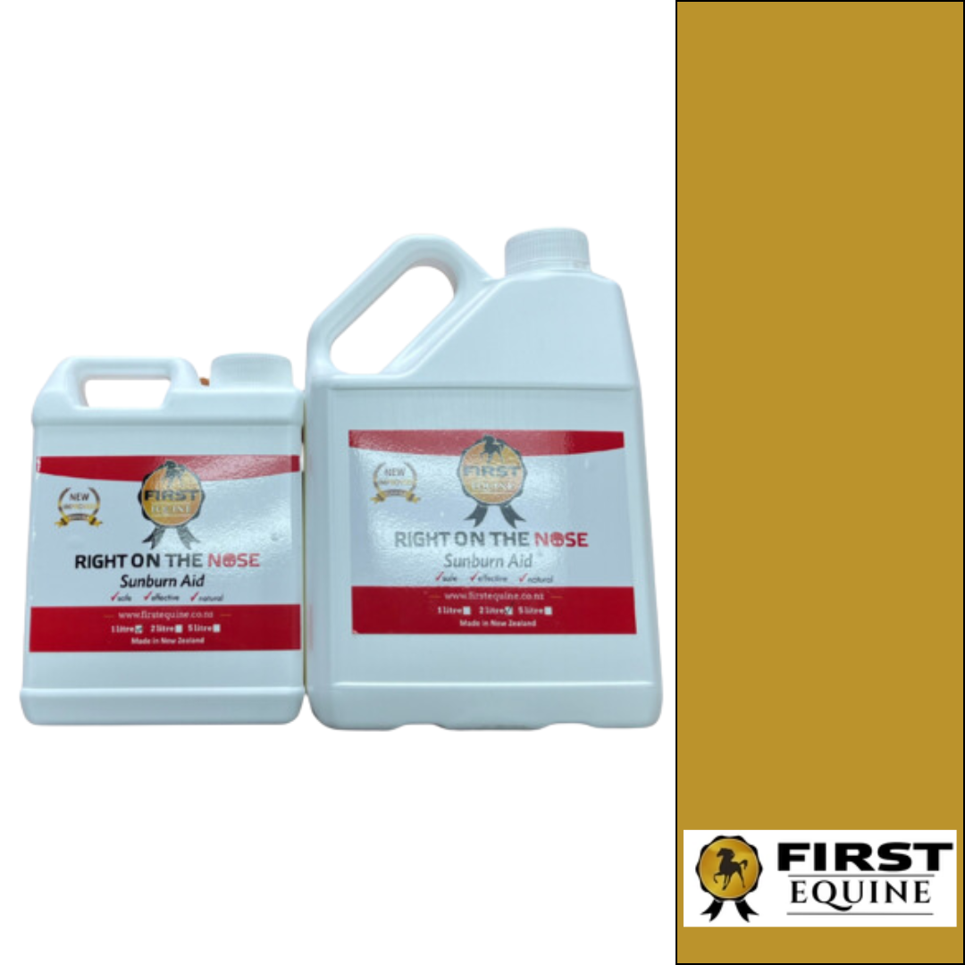 Right on the nose veterinary horseworld first equine