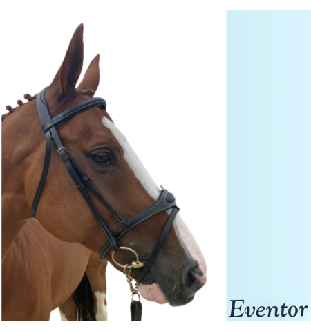 EVENTOR SNAFFLE CROWN BRIDLE