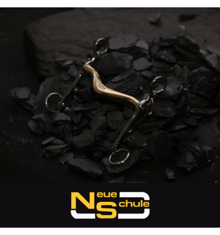 NEUE SCHULE 7015 TURTLE TILT WEYMOUTH