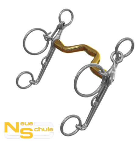 NEUE SCHULE WARMBLOOD SHOW PELHAM