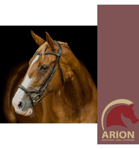 PLATINUM PRESSURE RELIEF ANATOMICAL BRIDLE