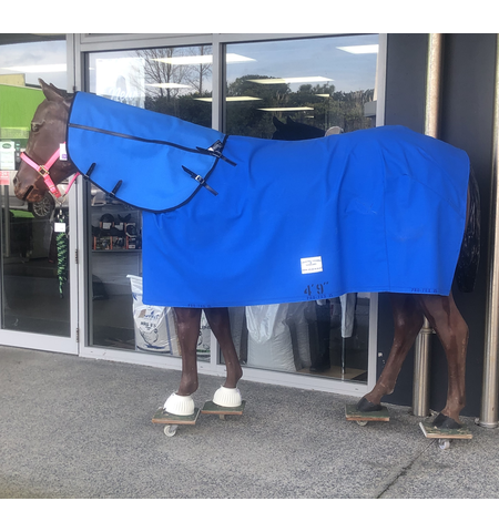 COUNTIES COVERS ORIGINAL CANVAS RUG